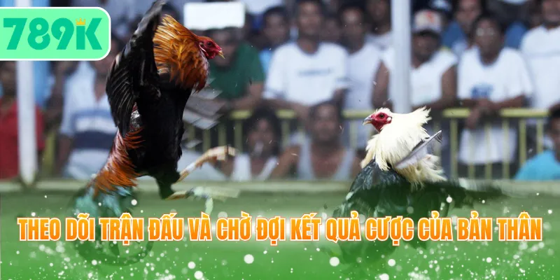 Theo dõi trận đấu và chờ đợi kết quả cược của bản thân